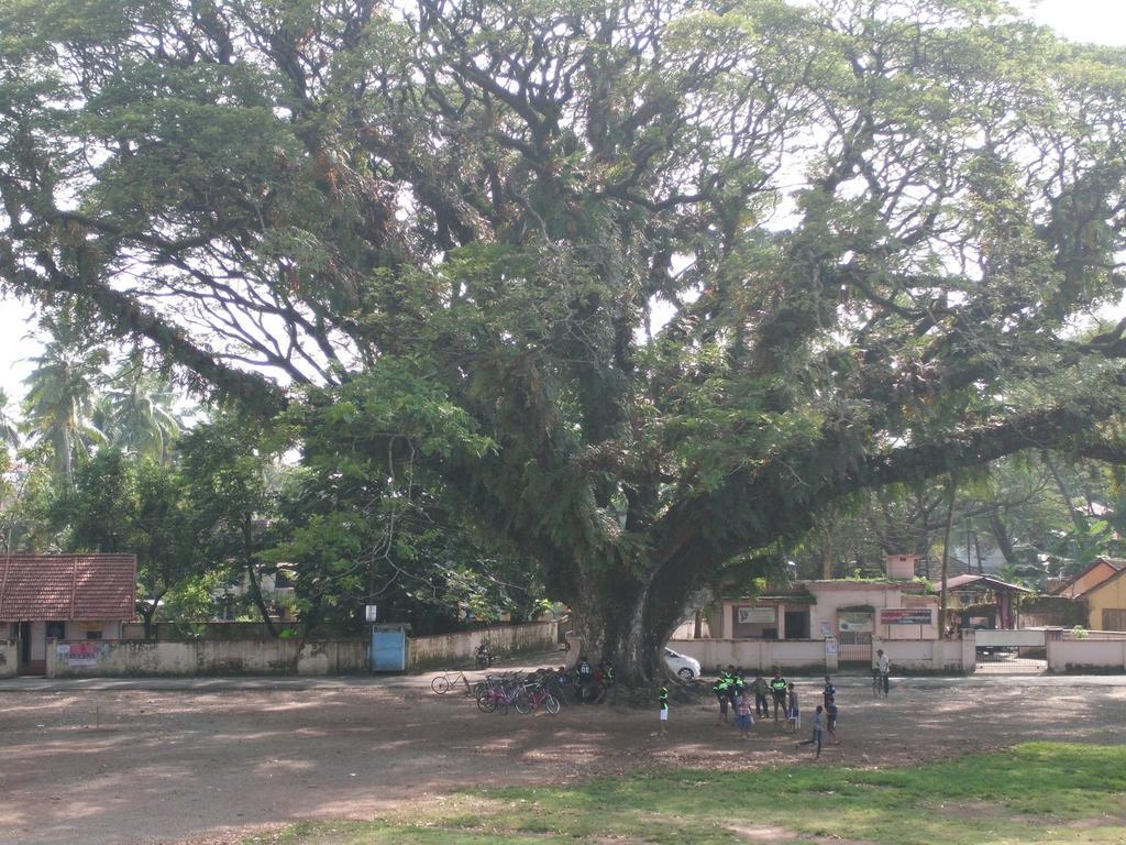 Hebron Inn Kochi Dış mekan fotoğraf